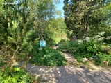 Im Alpengarten