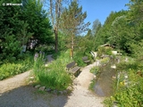 Im Alpengarten