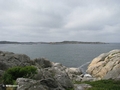 Rundgang auf Marstrandsön / bei Hummernäsan