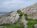 Rundgang auf Marstrandsön