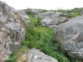 Rundgang auf Marstrandsön