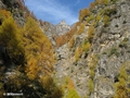 Schlucht, Blick nach oben